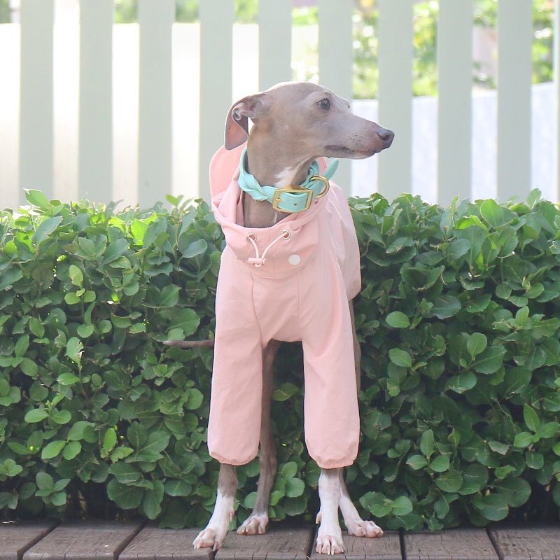 Lightweight Waterproof Sunproof Detachable Sun Hat Whippet Dog Clothes - PIKAPIKA