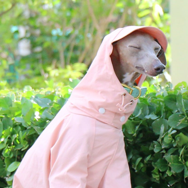Lightweight Waterproof Sunproof Detachable Sun Hat Whippet Dog Clothes - PIKAPIKA