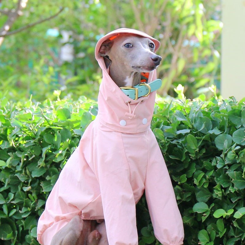 Lightweight Waterproof Sunproof Detachable Sun Hat Whippet Dog Clothes - PIKAPIKA