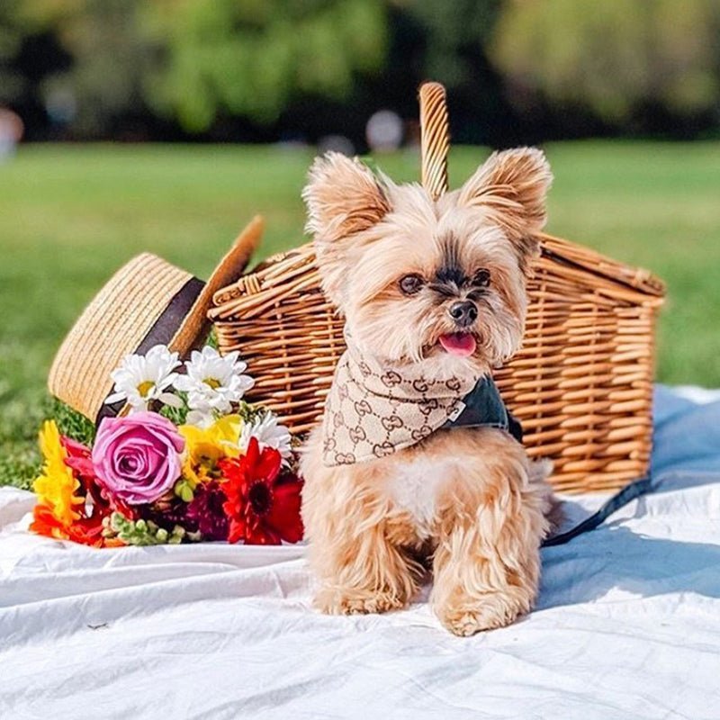 Luxury Cotton Bandanas Triangle Dog Bib - PIKAPIKA