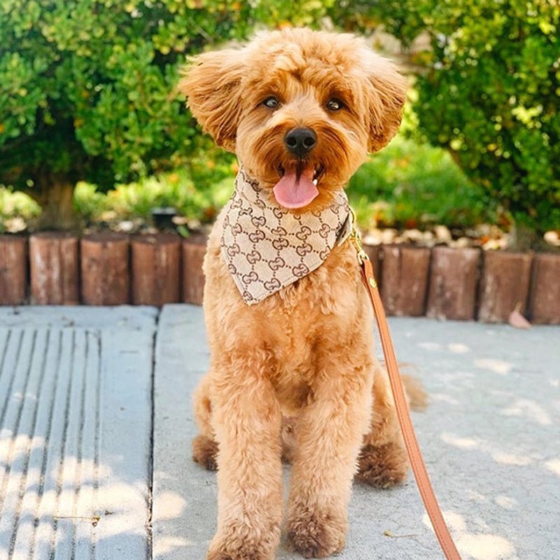 Luxury Cotton Bandanas Triangle Dog Bib - PIKAPIKA