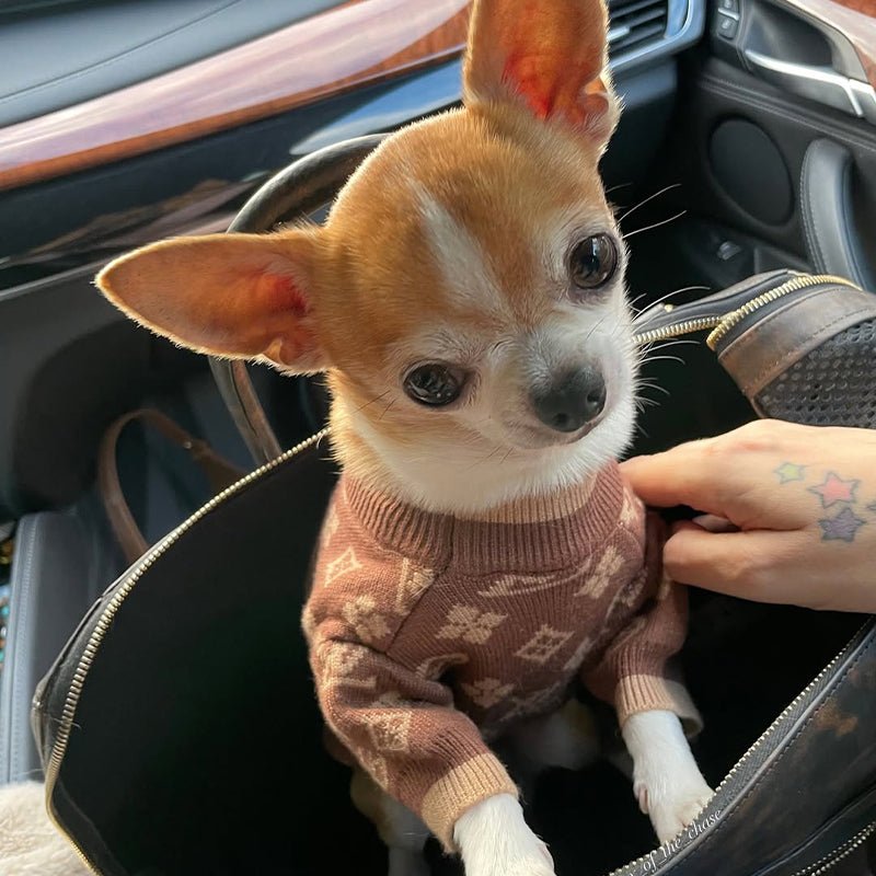 Luxury Designer Style Knitwear Sweater Dog Clothes Brown - PIKAPIKA