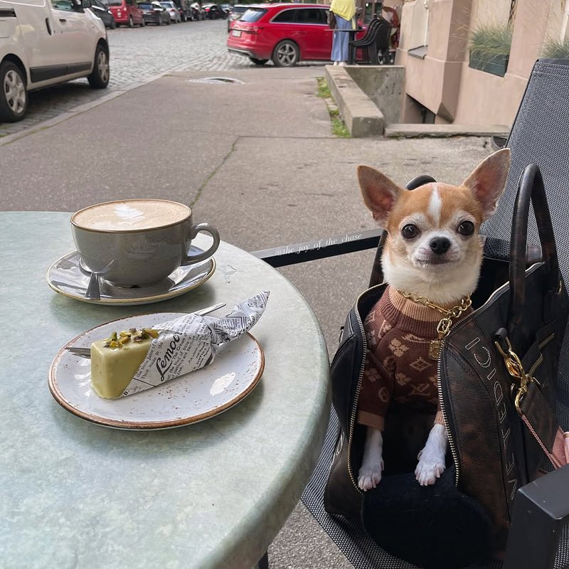 Luxury Designer Style Knitwear Sweater Dog Clothes Brown - PIKAPIKA