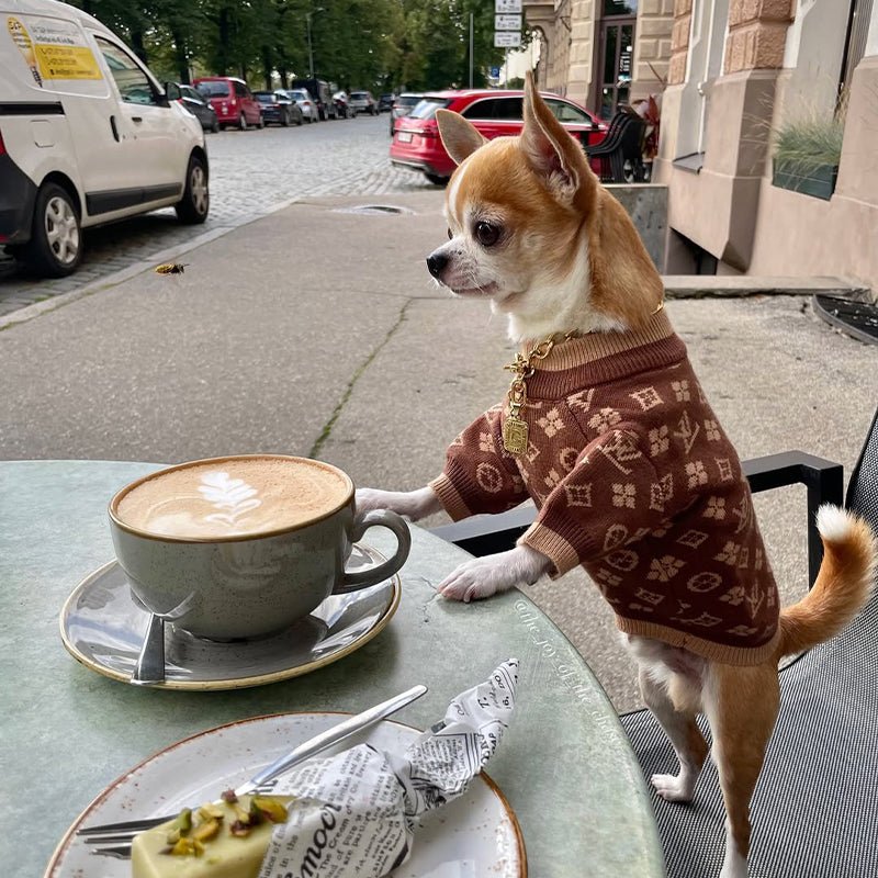 Luxury Designer Style Knitwear Sweater Dog Clothes Brown - PIKAPIKA