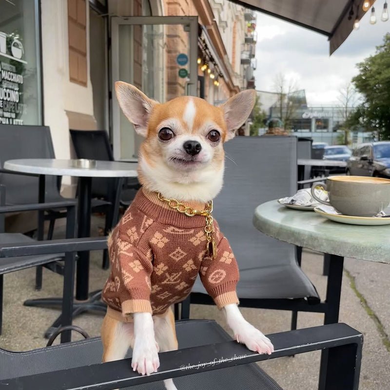 Luxury Designer Style Knitwear Sweater Dog Clothes Brown - PIKAPIKA