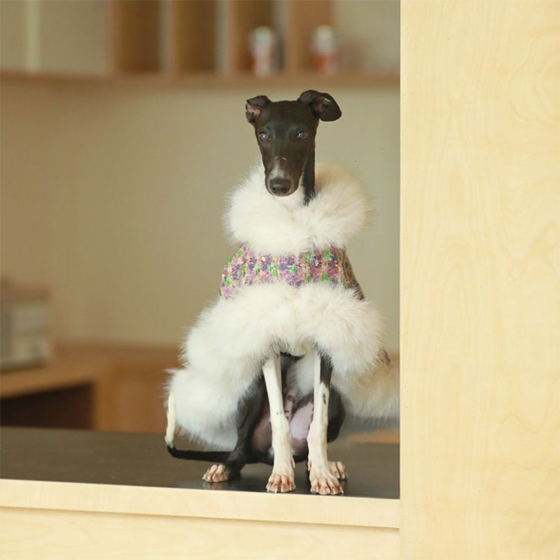 Luxury Faux Fur Tweed Cloak Jacket Italian Greyhound Whippet Dog Clothes - PIKAPIKA
