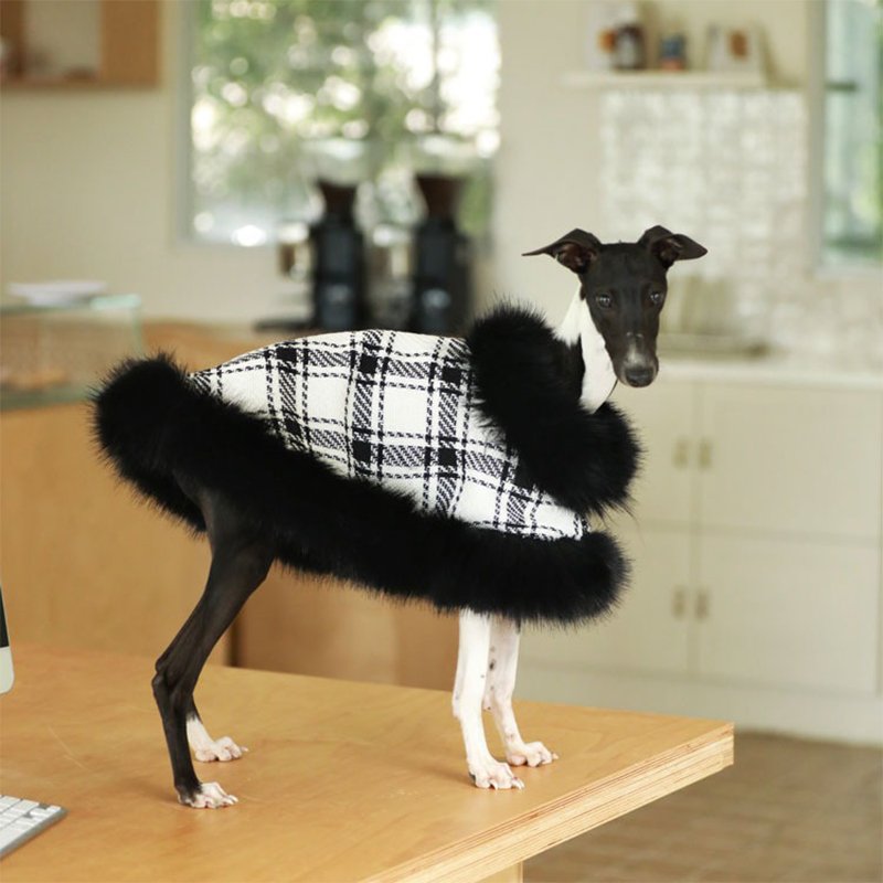 Luxury Faux Fur Tweed Cloak Jacket Italian Greyhound Whippet Dog Clothes - PIKAPIKA