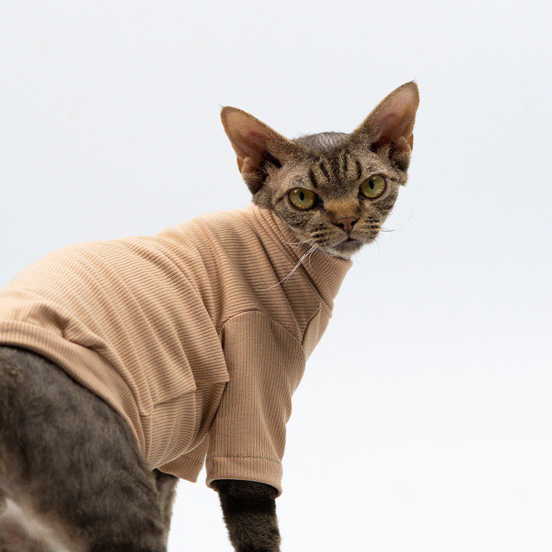 Modal Fibre Elastic Basic T-shirt Top Sphynx Cat Clothes