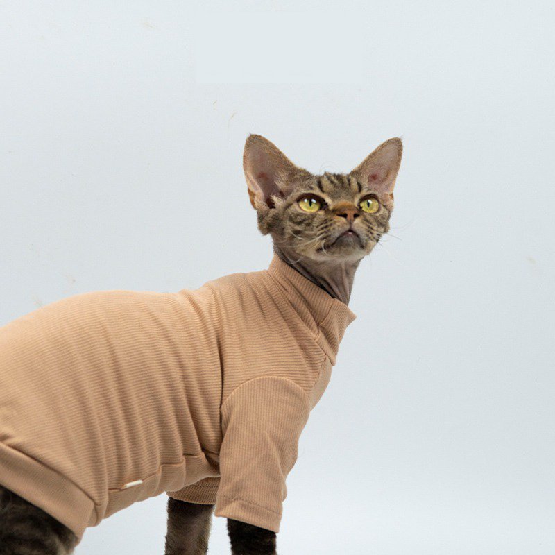 Modal Fibre Elastic Basic T-shirt Top Sphynx Cat Clothes - PIKAPIKA