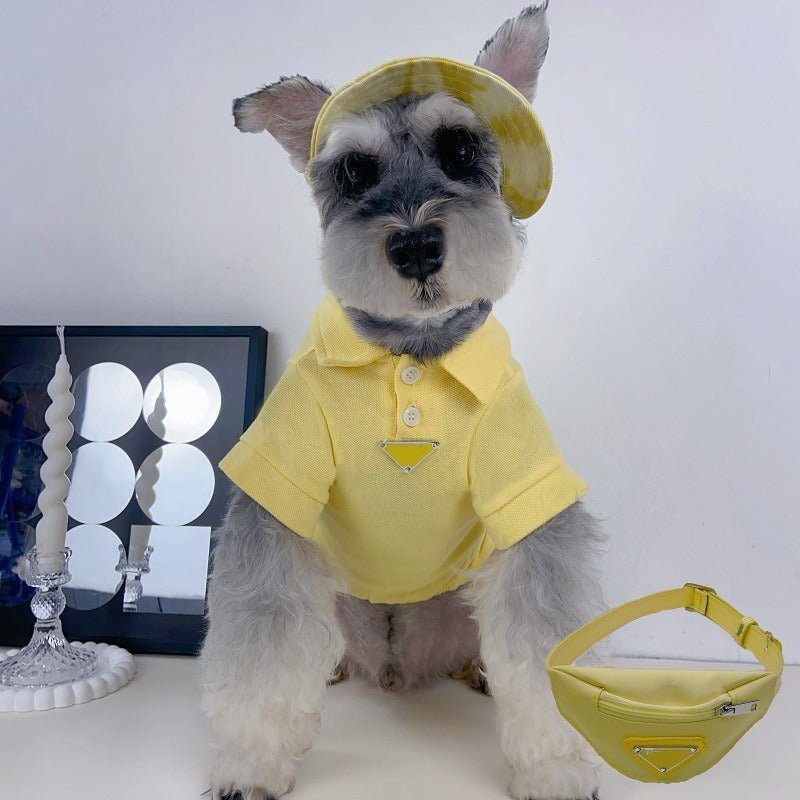 Multicolor Dog Bag Fashion Icon IT Bag Cross Body Pet Accessory - PIKAPIKA