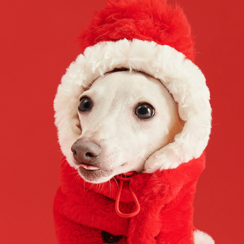 New Year Red Fleece Collar Scarf Hat - PIKAPIKA