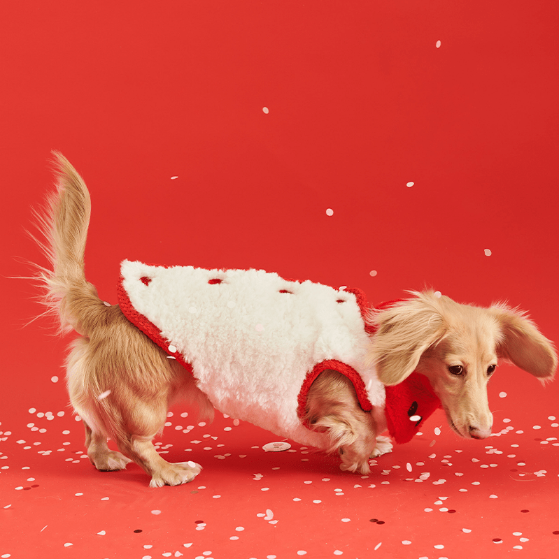New Year Red Fleece Vest Jacket Dachshund Clothes - PIKAPIKA