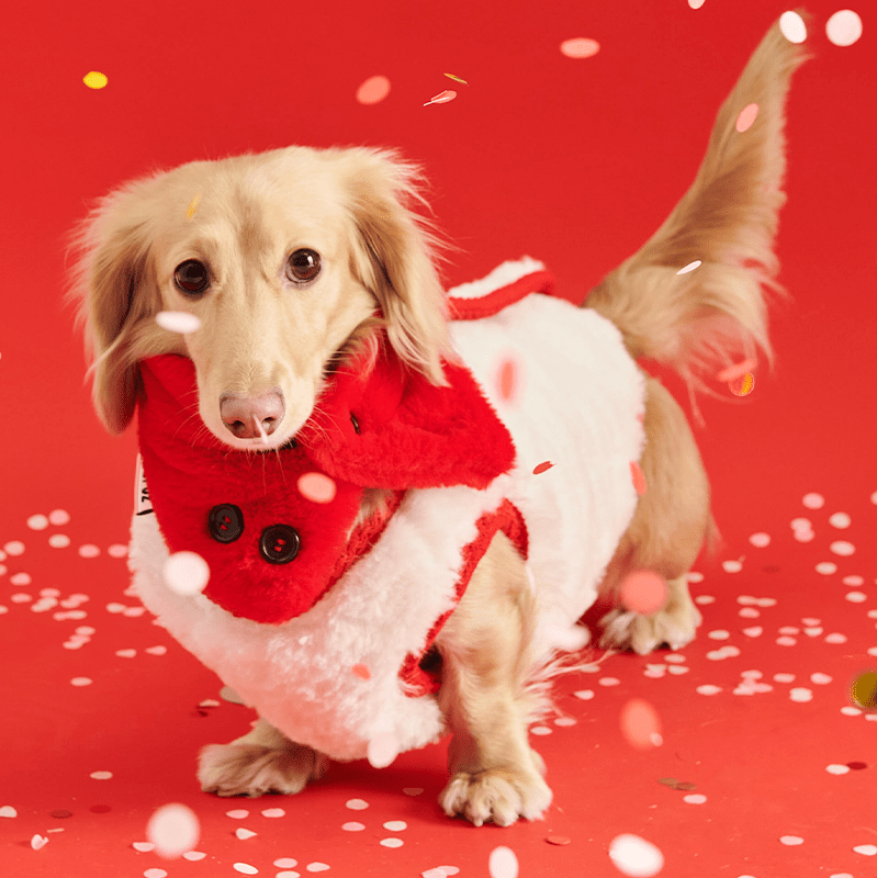 New Year Red Fleece Vest Jacket Dachshund Clothes - PIKAPIKA