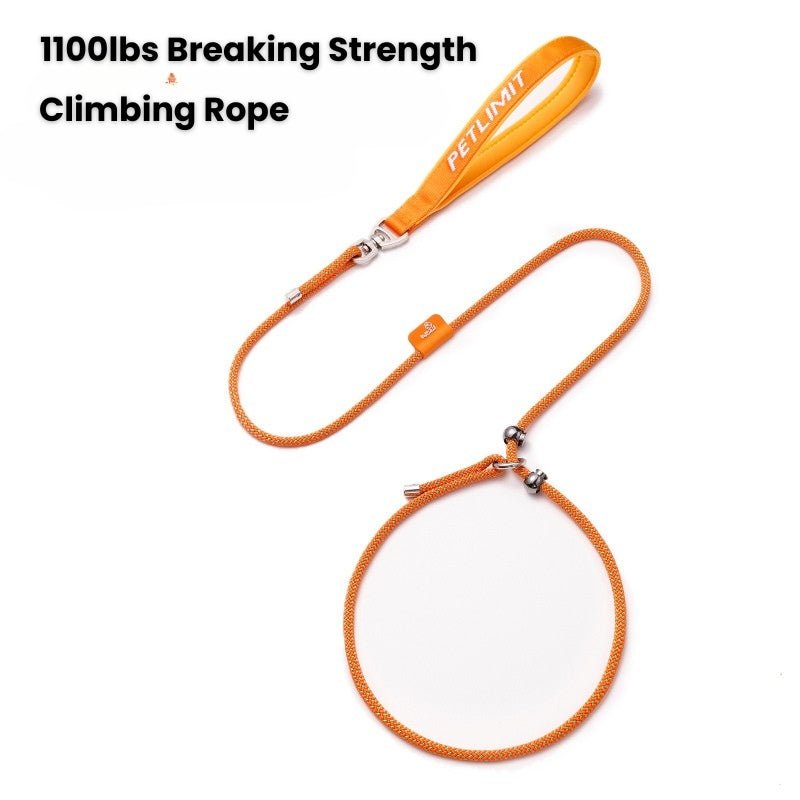 No - Pull Dog Training Leash Collar Set Heavy Duty 3.9 - 5.9 ft - PIKAPIKA