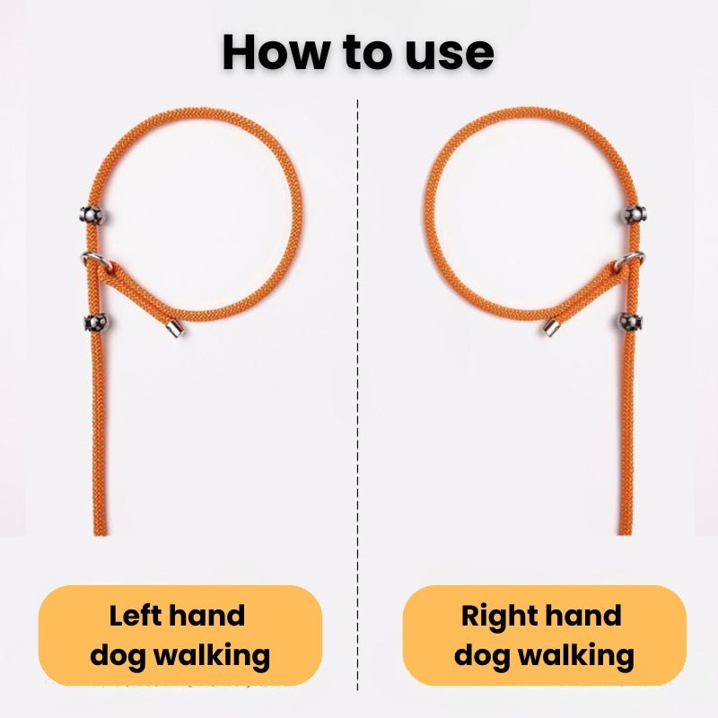 No - Pull Dog Training Leash Collar Set Heavy Duty 3.9 - 5.9 ft - PIKAPIKA