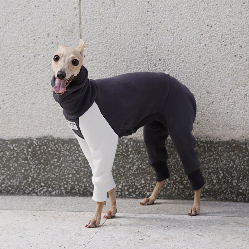 Onesie for Italian greyhound Whippet Dog Clothes - PIKAPIKA