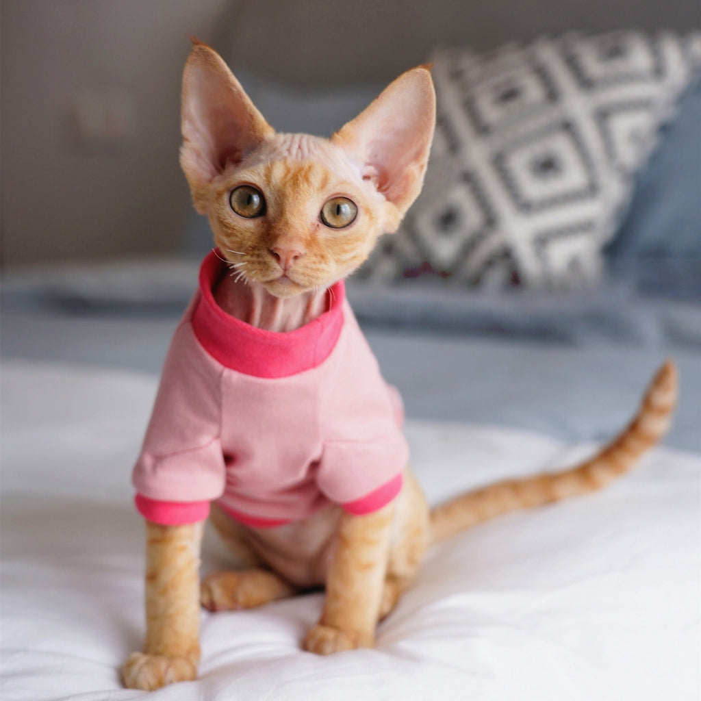 Organic Cotton Shirt Sphynx Cat Clothes Devon Rex Cornish Rex - PIKAPIKA