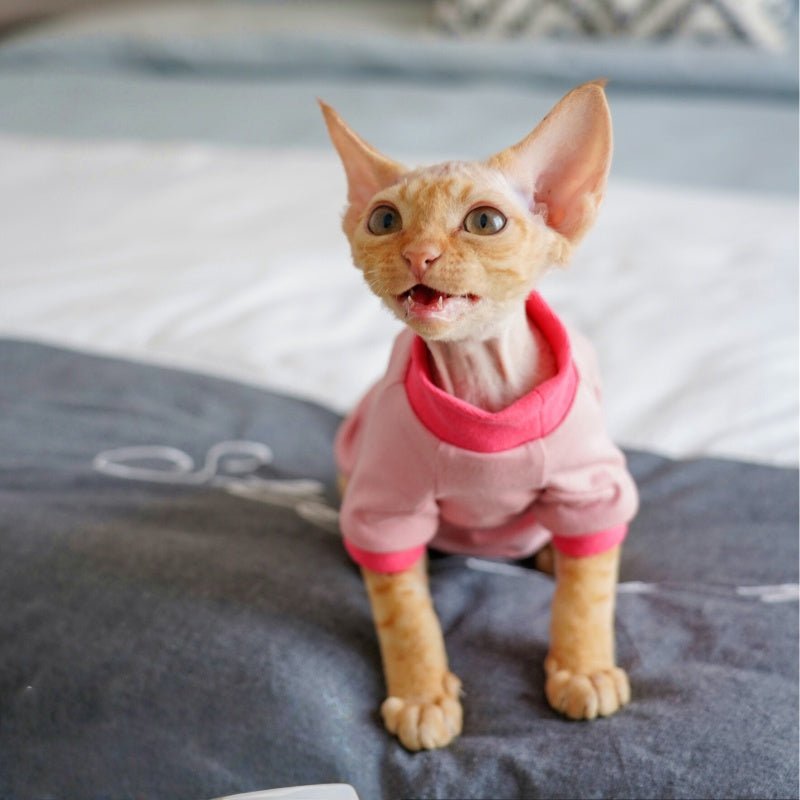 Organic Cotton Shirt Sphynx Cat Clothes Devon Rex Cornish Rex - PIKAPIKA