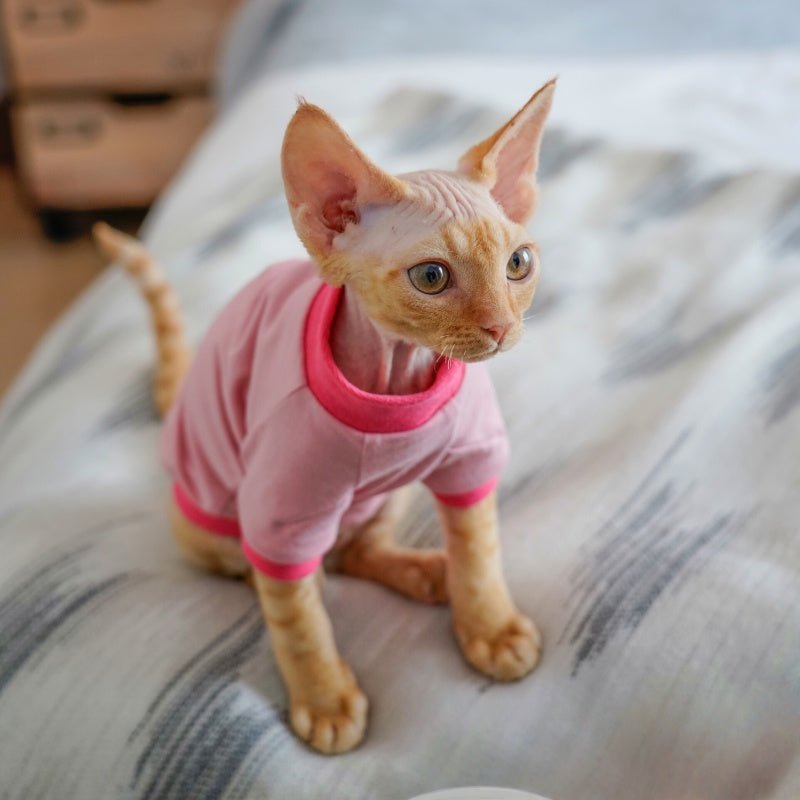 Organic Cotton Shirt Sphynx Cat Clothes Devon Rex Cornish Rex - PIKAPIKA
