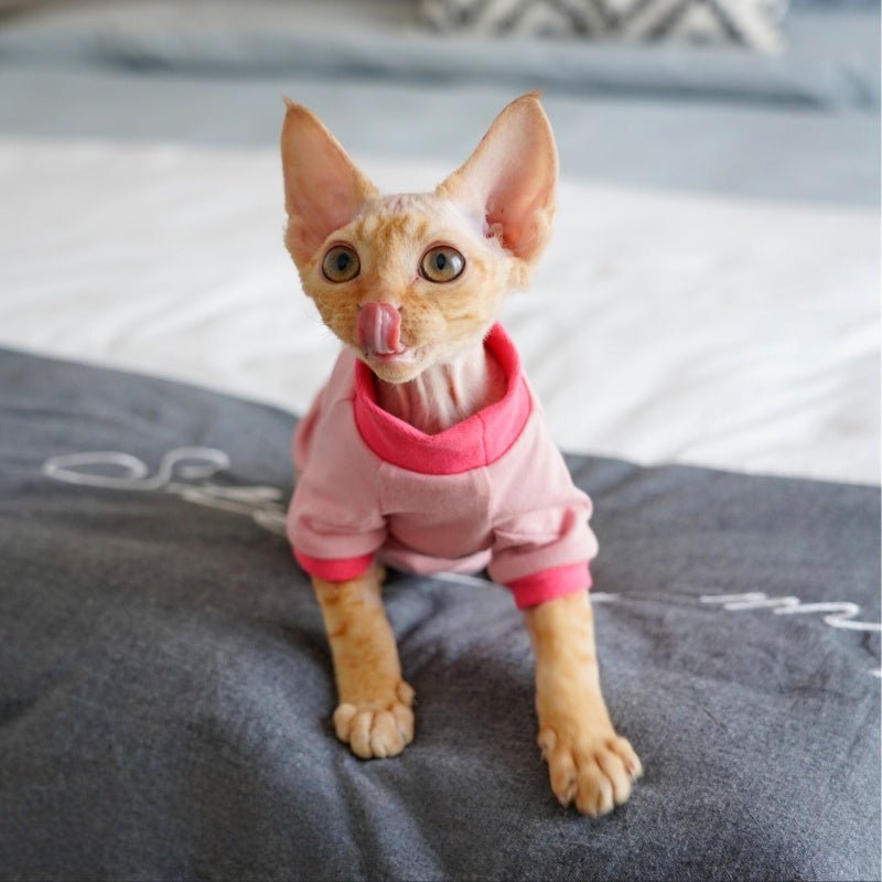 Organic Cotton Shirt Sphynx Cat Clothes Devon Rex Cornish Rex - PIKAPIKA