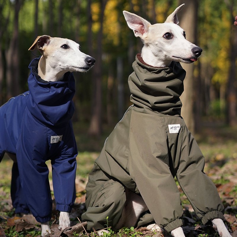Outdoor Jacket Raincoat for Italian greyhound Whippet - PIKAPIKA