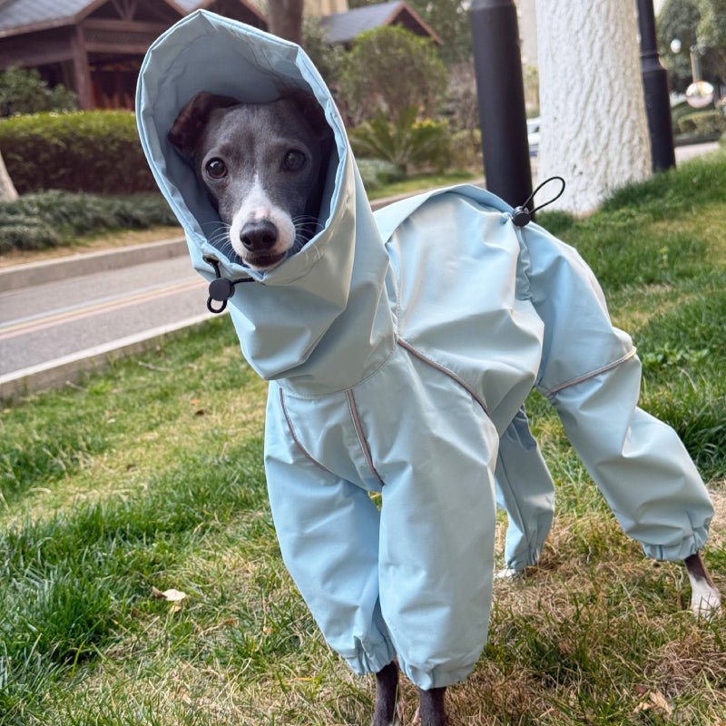 Outdoor Jacket Raincoat for Italian Greyhound Whippet Dog Waterproof Clothes - PIKAPIKA