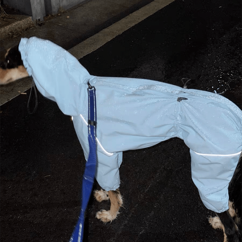 Outdoor Jacket Raincoat for Italian Greyhound Whippet Dog Waterproof Clothes - PIKAPIKA