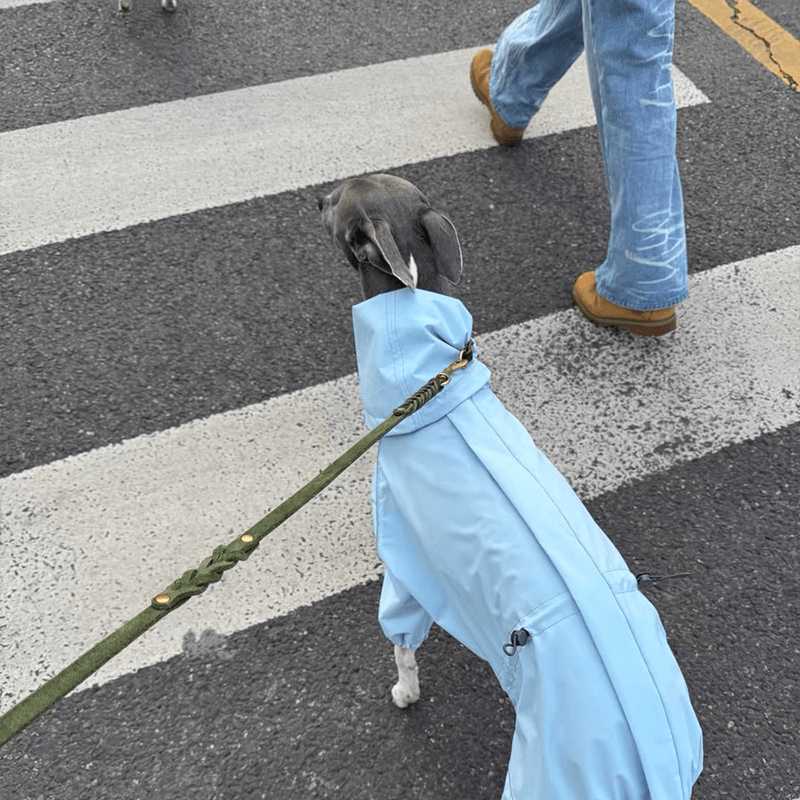 Outdoor Jacket Raincoat for Italian Greyhound Whippet Dog Waterproof Clothes - PIKAPIKA