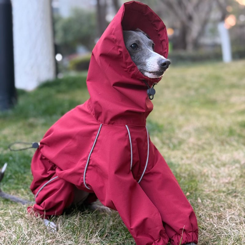 Outdoor Jacket Raincoat for Italian Greyhound Whippet Dog Waterproof Clothes - PIKAPIKA