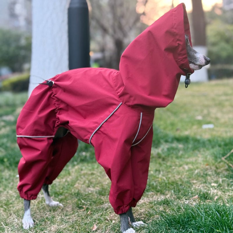 Outdoor Jacket Raincoat for Italian Greyhound Whippet Dog Waterproof Clothes - PIKAPIKA