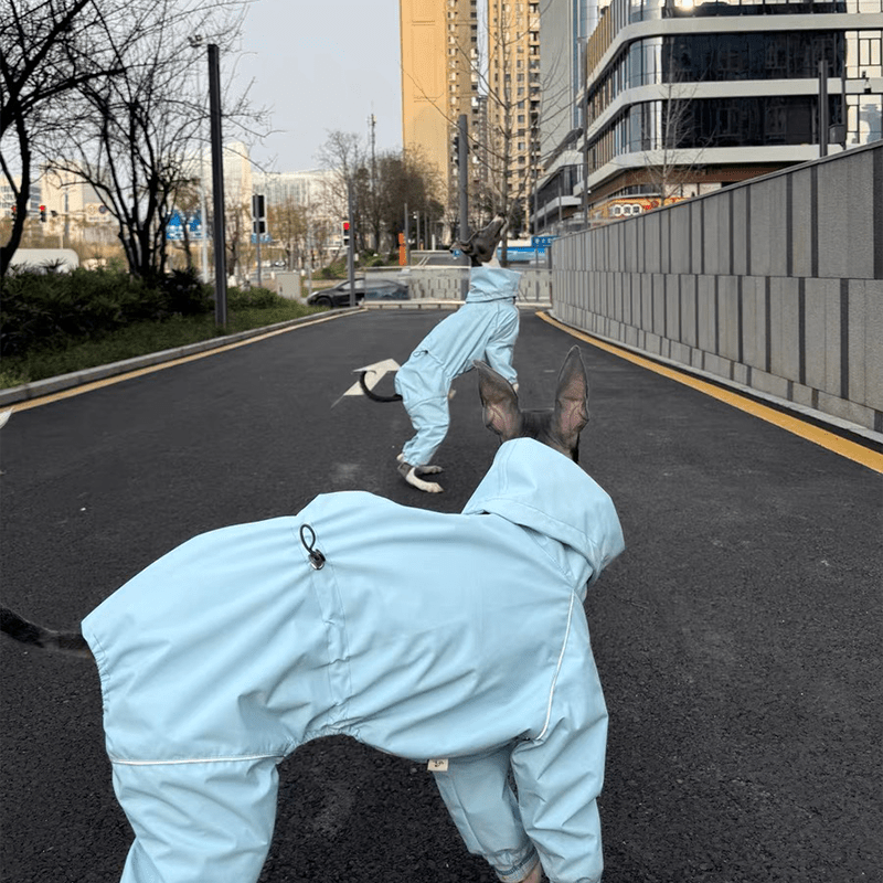 Outdoor Jacket Raincoat for Italian Greyhound Whippet Dog Waterproof Clothes - PIKAPIKA
