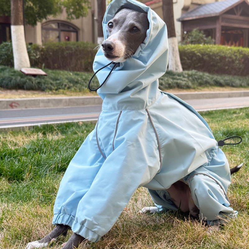 Outdoor Jacket Raincoat for Italian Greyhound Whippet Dog Waterproof Clothes - PIKAPIKA