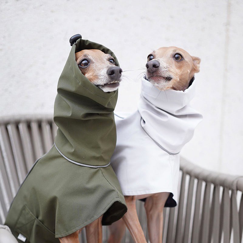 Outdoor Jacket Waterproof Windproof for Italian greyhound Whippet - PIKAPIKA