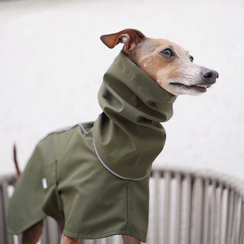 Outdoor Jacket Waterproof Windproof for Italian greyhound Whippet - PIKAPIKA