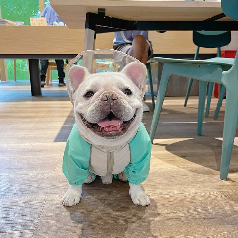 Outdoor Raincoat Dog 4 Legs Waterproof Clothes Bulldog Corgi - PIKAPIKA