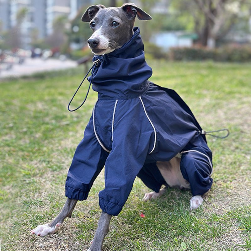 Outdoor Raincoats Waterproof for Italian greyhound Whippet Dog Clothes - PIKAPIKA