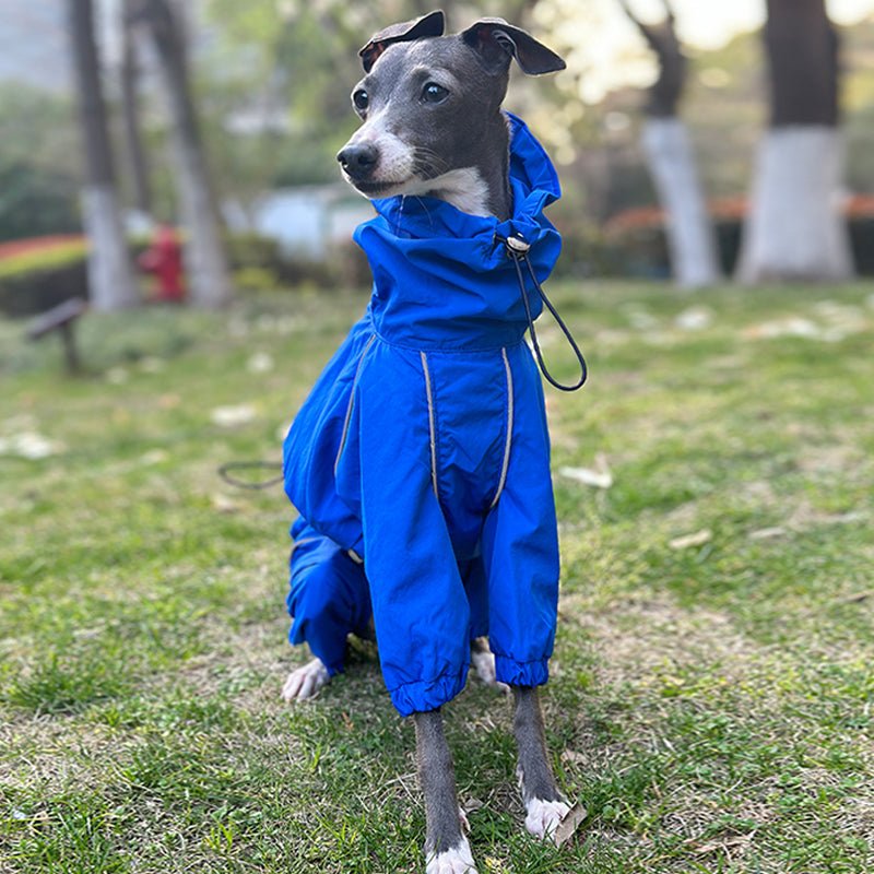 Outdoor Raincoats Waterproof for Italian greyhound Whippet Dog Clothes - PIKAPIKA
