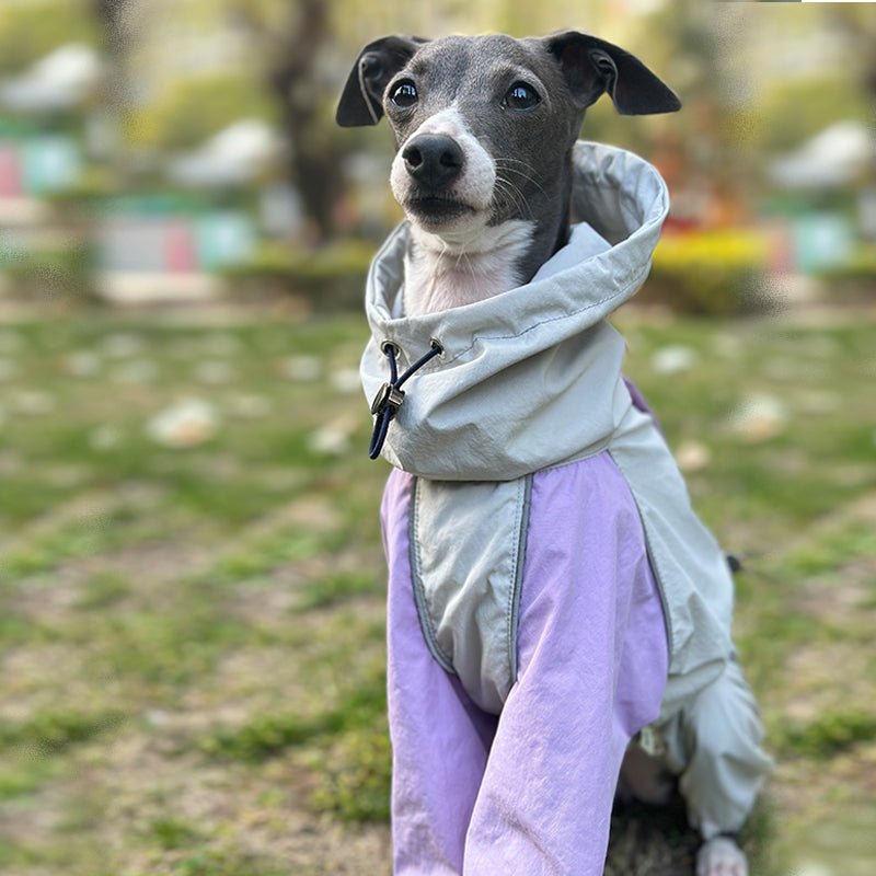 Outdoor Raincoats Waterproof for Italian greyhound Whippet Dog Clothes