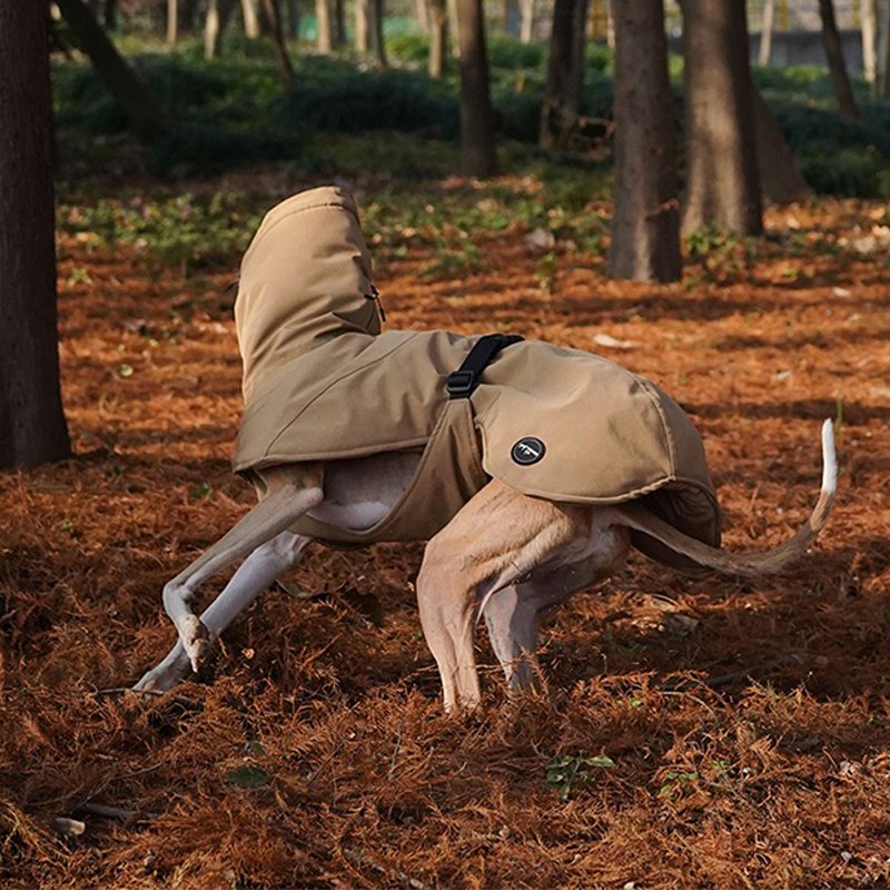 Outdoor Waterproof Jacket Raincoat for Italian greyhound Whippet - PIKAPIKA