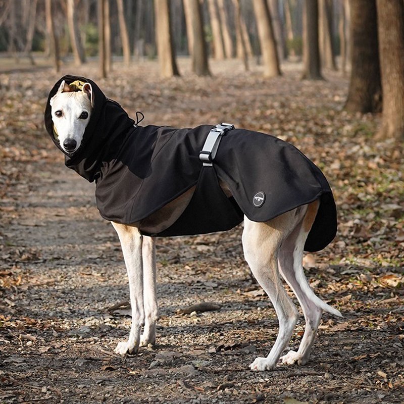 Outdoor Waterproof Jacket Raincoat greyhound Whippet