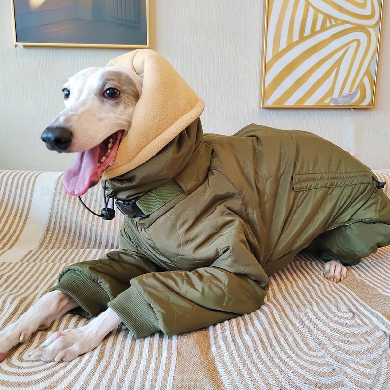 Padded Coat Parka Onesie for Italian greyhound Whippet Dog Clothes - PIKAPIKA