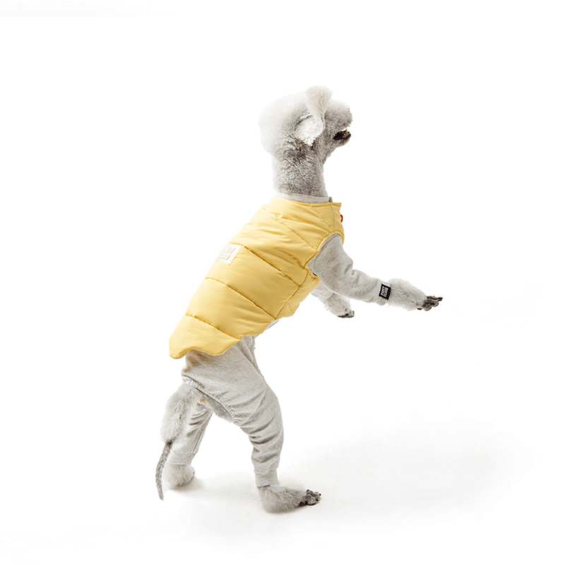 Padded Jacket Dog Vest Bedlington Italian greyhound Whippet Clothes - PIKAPIKA