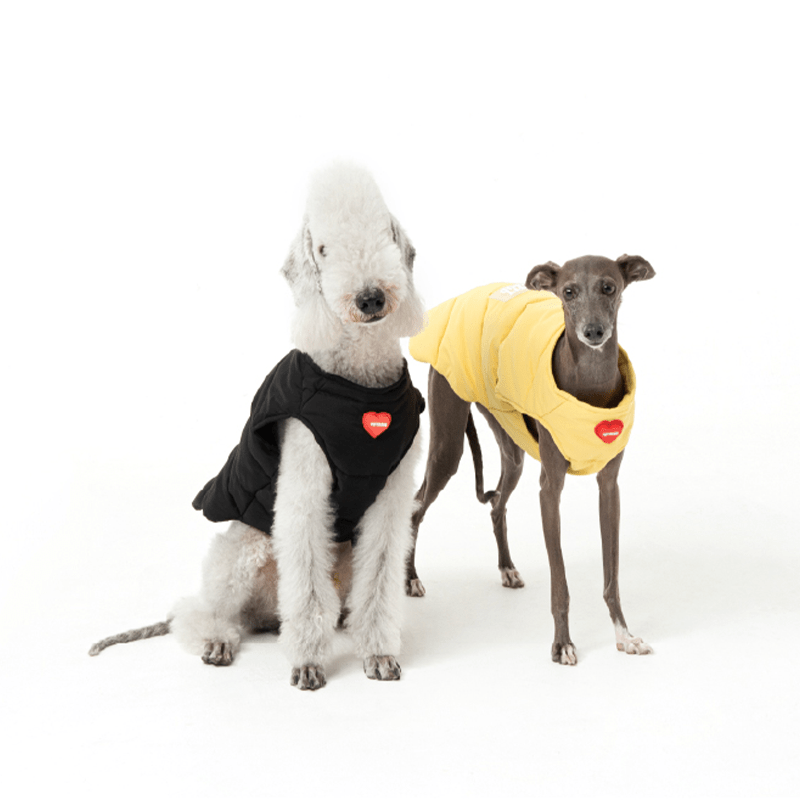 Padded Jacket Dog Vest Bedlington Italian greyhound Whippet Clothes - PIKAPIKA