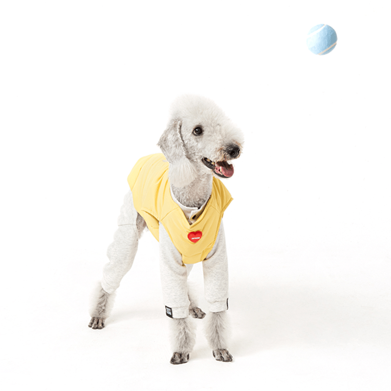 Padded Jacket Dog Vest Bedlington Italian greyhound Whippet Clothes - PIKAPIKA