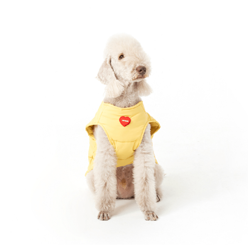 Padded Jacket Dog Vest Bedlington Italian greyhound Whippet Clothes - PIKAPIKA