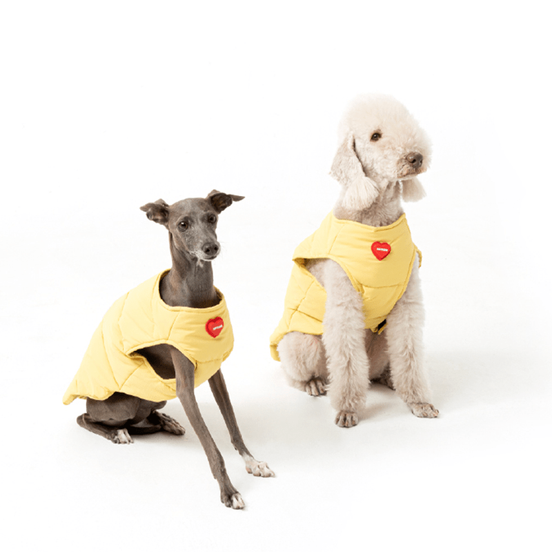 Padded Jacket Dog Vest Bedlington Italian greyhound Whippet Clothes - PIKAPIKA