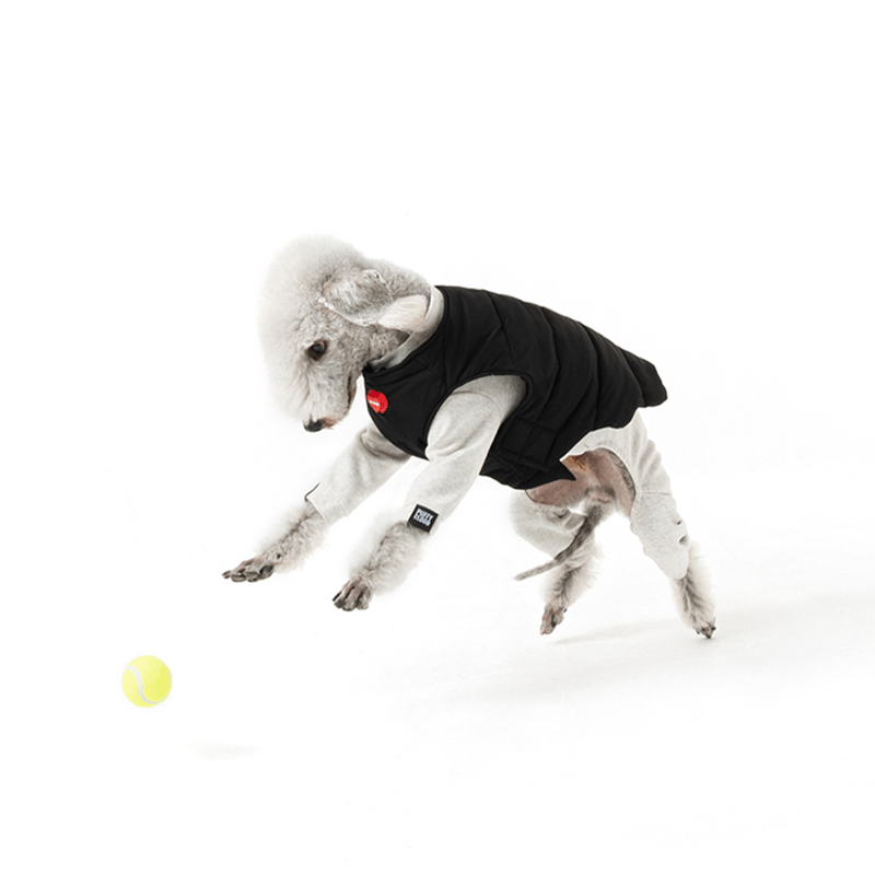 Padded Jacket Dog Vest Bedlington Italian greyhound Whippet Clothes - PIKAPIKA