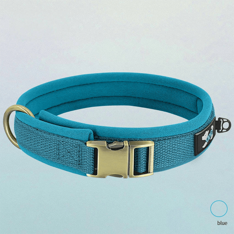 Personalized Dog Collar Anti - Lost Design for Outdoor Use - PIKAPIKA