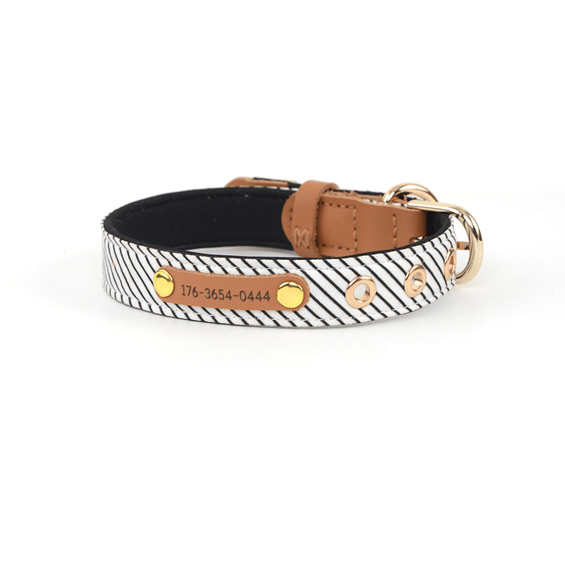 Personalized Dog Collar with Laser Engraving Adjustable Anti - Loss - PIKAPIKA