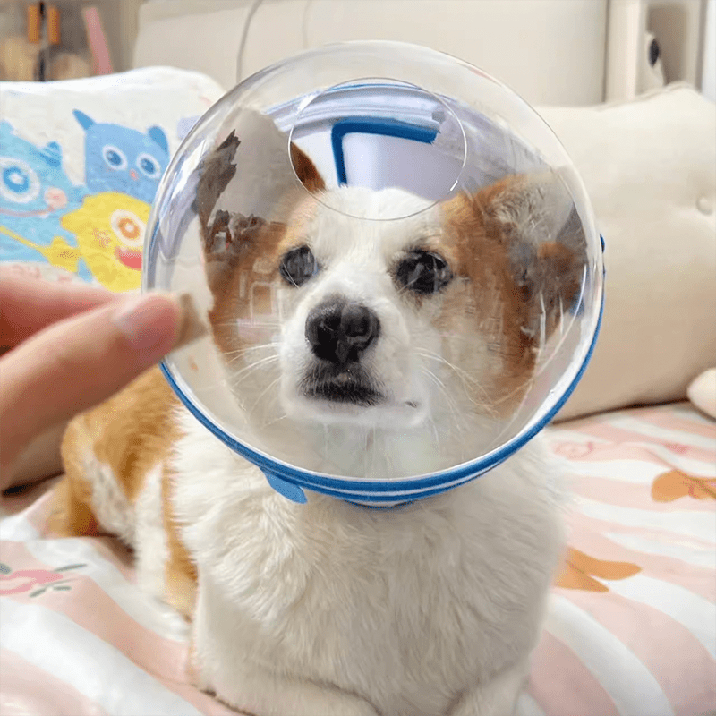 Pet Anti - Bite Mask No - Snack Full Head Cover Lightweight & Adjustable - PIKAPIKA